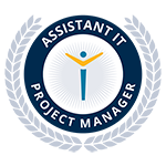 Assistant IT Project Manager 