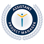 Assistant Project Manager